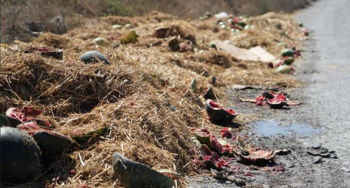 Arnavutköy’de Yüzlerce Karpuz Yol Kenarına Atıldı, O Anlar Kamerada