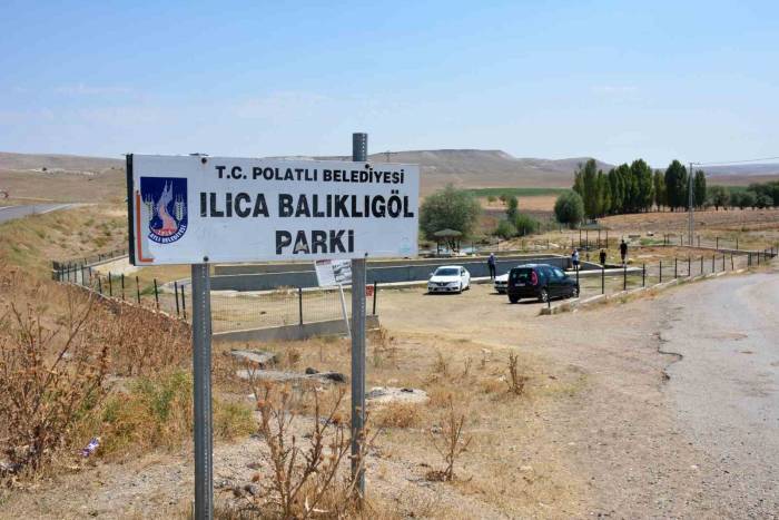 Gazi Balıklar Yok Olma Tehditi Altında