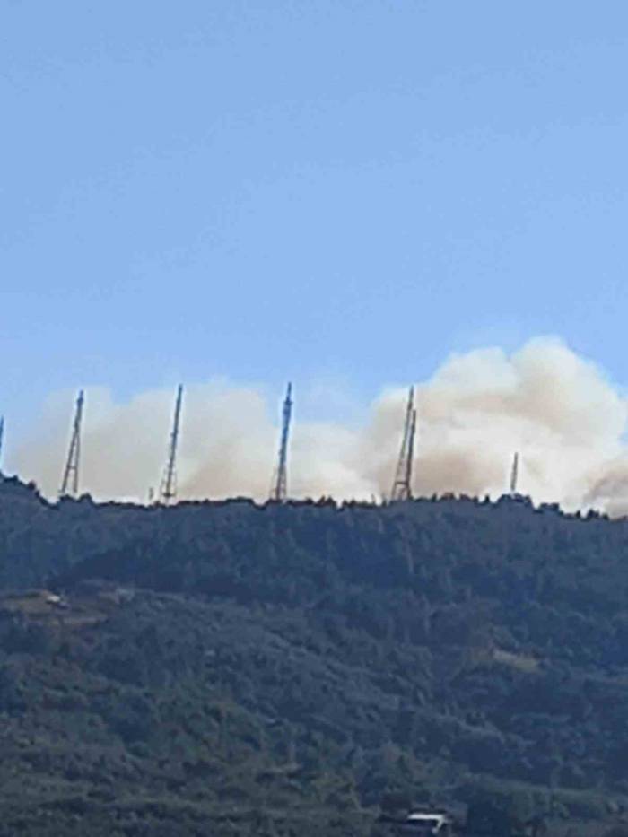 Bursa’da Orman Yangını