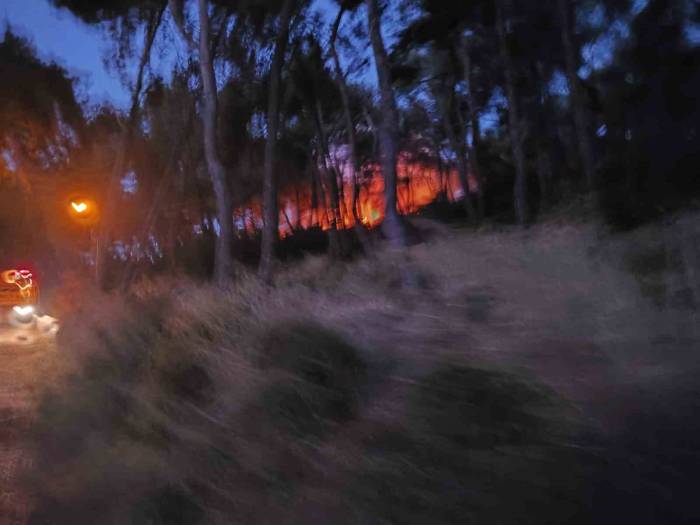 Heybeliada’da Ormanlık Alanda Yangın