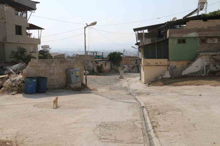 Yaşlı Kadının Etrafını Saran Sokak Köpeklerinden Tedirgin Olduğu Anlar Kamerada