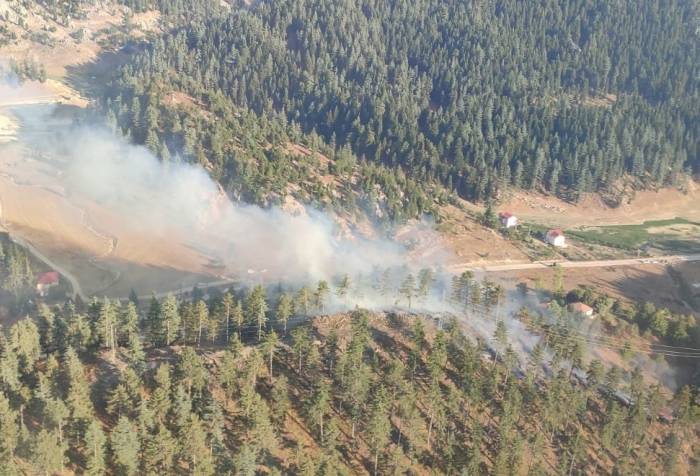 Osmaniye’de Orman Yangını