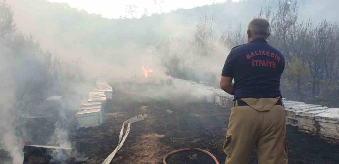 Balıkesir’de Orman Yangınına Giden Ekiplere Arılar Saldırdı