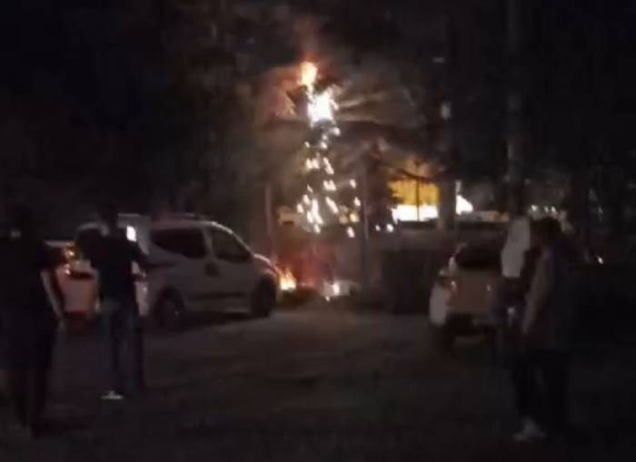 Ağacın Dibindeki Elektrik Kablolarından Çıkan Kıvılcım Korkuttu