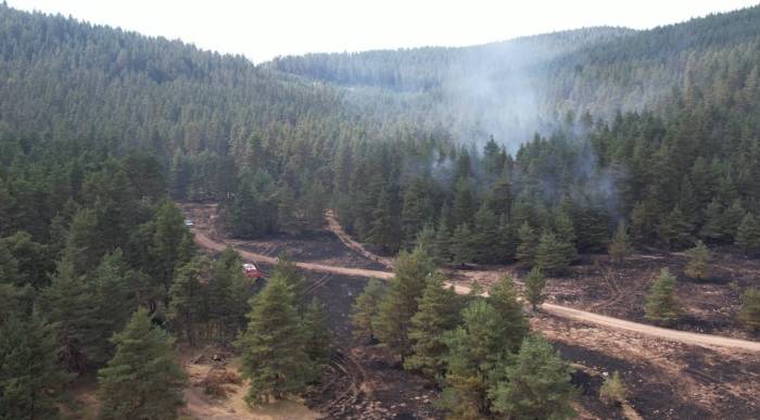 Beypazarı’nda Makilik Yangını Ormana Sıçramadan Söndürüldü