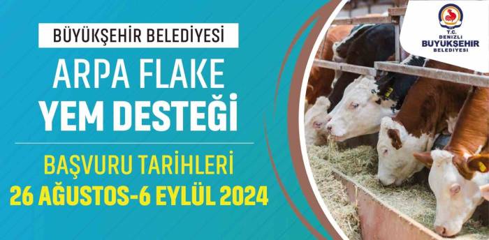 Denizli Büyükşehir Büyükbaş Hayvan Üreticilerine Yem Desteği Sağlayacak