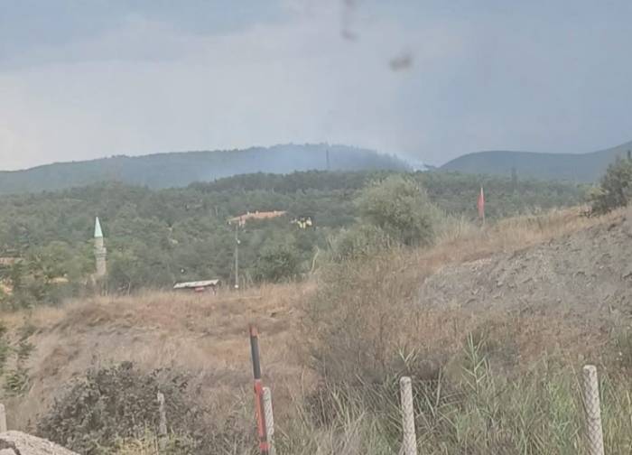 Tavşanlı Tunçbilek’te Yıldırım Düşmesi Sonucu Orman Yangını