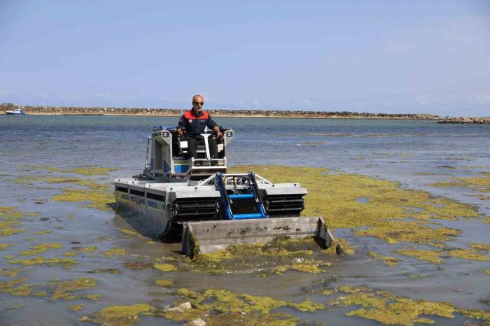 Kurupelit Yat Limanı’nda Yosun Temizleme Çalışması
