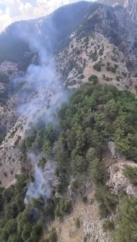 Zirvede Başlayan Yangın Hava Müdahalesiyle Söndürüldü