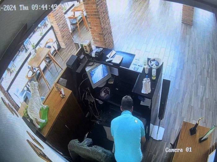 Restorana Dadanan Hırsız "Pes" Dedirtti: "Bu Cesaret Ben De Yok"