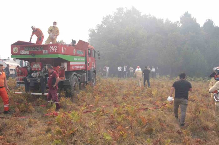 Devrek’teki Orman Yangınında Soğutma Çalışmaları Tamamlandı