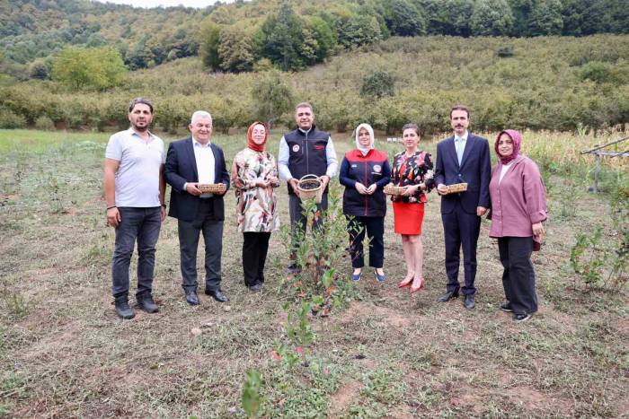 Vali Aslan Aronya Hasadı Yaptı