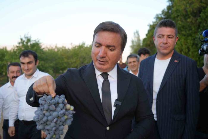 Üzümün Başkenti Erzincan’da 5 Yeni Üzüm Çeşidi Tescil Alıyor