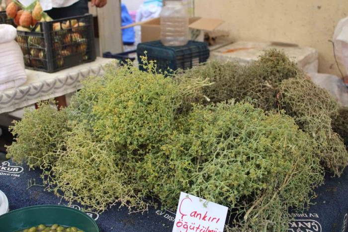 Tarhananın Vazgeçilmezi Tarhana Otu Tezgahları Süslüyor