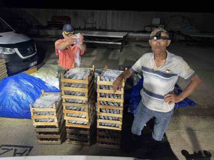 Karadeniz’de Palamut Bereketi