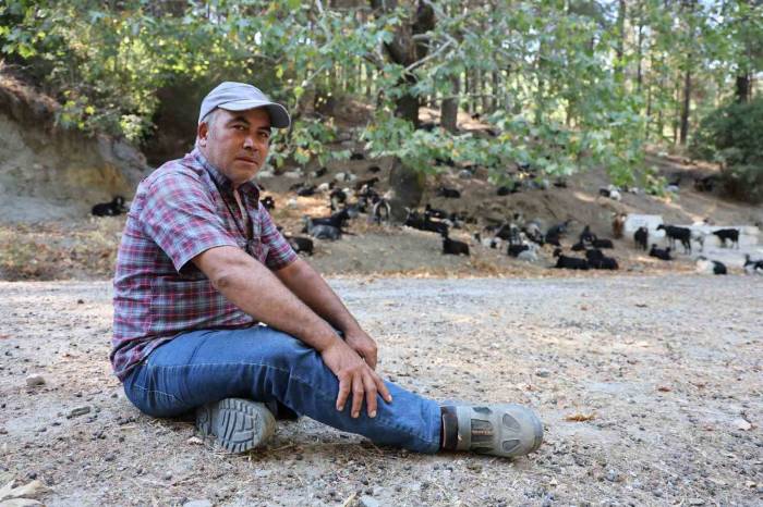 Keçilerin Hareketlerini İzleye İzleye Meteoroloji Uzmanı Oldu