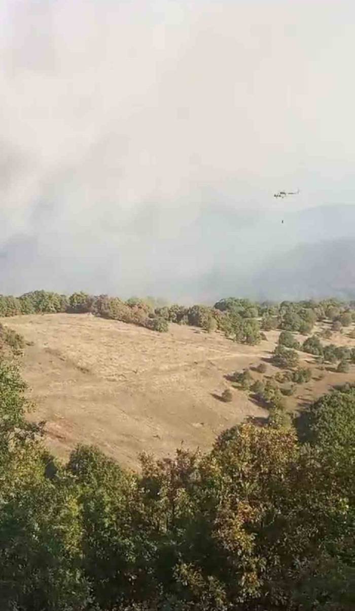 Bursa’da Korkutan Orman Yangını