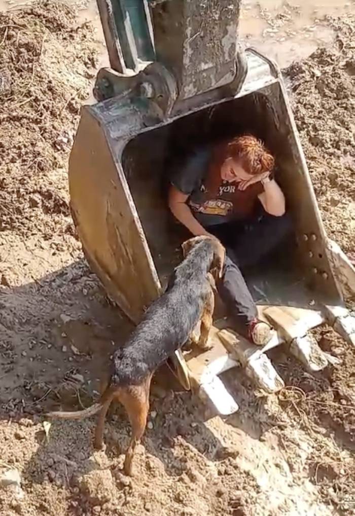 Dereye Düşen Köpek İş Makinesinin Kepçesi İle Kurtarıldı