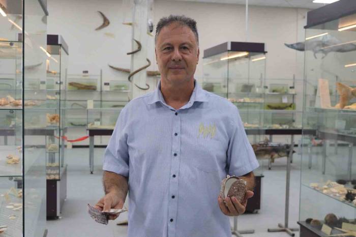 Körfezin Temizliği İçin ‘İstiridye’ Önerisi