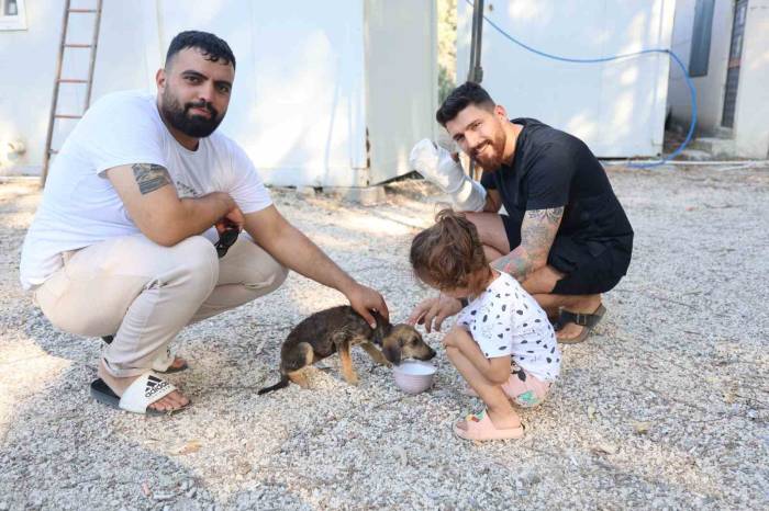 Çuvala Konulup, Çöplük Alana Terk Edilen Köpeği Vatandaşlar Kurtardı