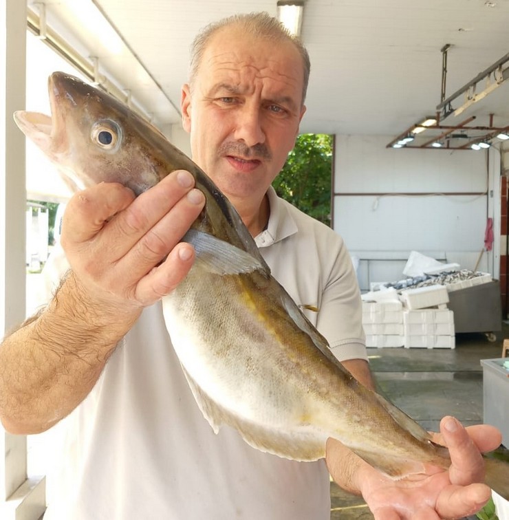 orduda-balikcilarin-agina-1-kilogramlik-mezgit-baligi-takildi-1.jpg