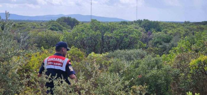 Söke’de Av Kontrol Denetimi