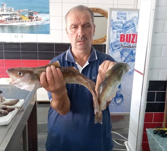 Ordu’da Balıkçılar 1,5 Kilogramlık Mezgit Yakaladı