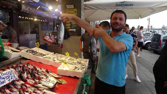 Palamut Avı Hız Kesti