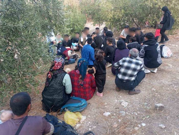 Didim Ve Söke’de 70 Düzensiz Göçmen Yakalandı