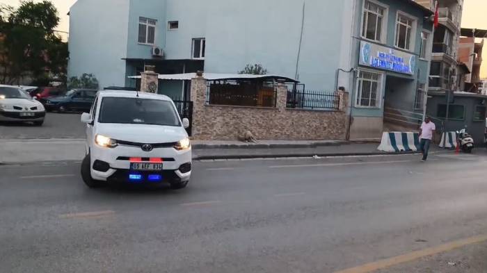Acarlar Polisi, Kaçakçılığa Geçit Vermedi
