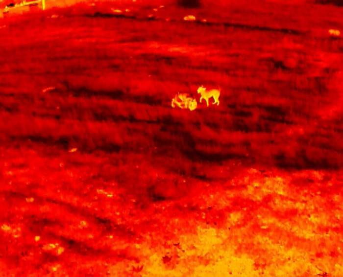 Balıkesir İtfaiyesi Termal Dron İle Güçlendi