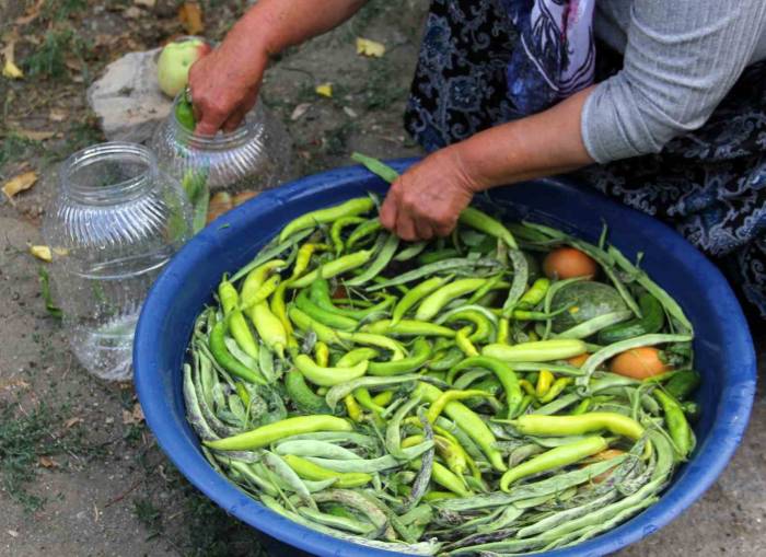 Erzincan’da Kadınların Turşu Mesaisi Başladı