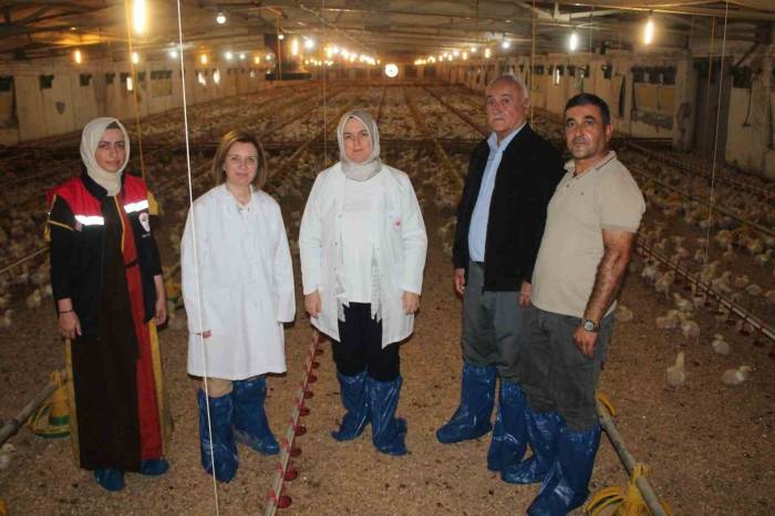 İyi Tarım Uygulamaları Yerinde İncelendi