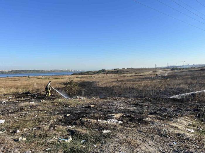 Avcılar’da Otluk Alandaki Yangın Güvercin Kulübesine Sıçramadan Söndürüldü