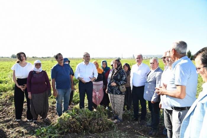 Yer Fıstığının Başkenti Osmaniye’de Festival Heyecanı