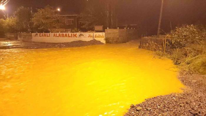 Zonguldak’ta Aşırı Yağışlar Etkisini Sürdürüyor: Mezarlıklarda Heyelan Meydana Geldi, 4 Ev Tahliye Edildi