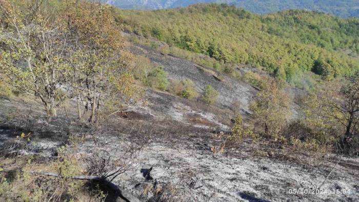 Örtü Yangını Ormana Sıçramadan Söndürüldü