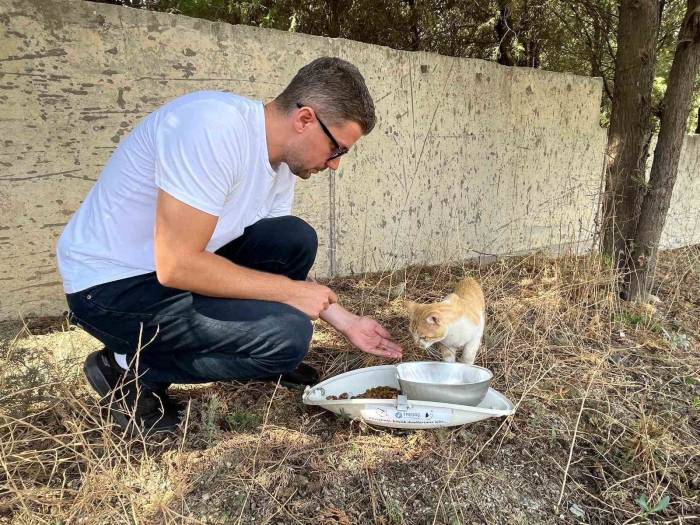 Doğadaki Hayvanlar İçin Koruma Çalışmaları Devam Ediyor