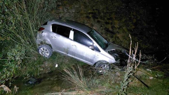 Başıboş Köpek Kazaya Sebep Oldu: 1 Yaralı