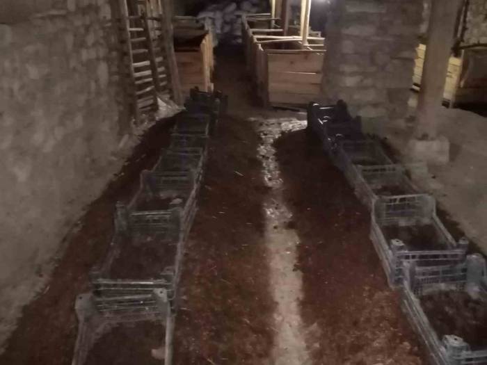 Şehir Hayatından Sıkıldı Çemişgezek’e Yerleşip Milyonlarca Solucanla Organik Gübre Üretmeye Başladı