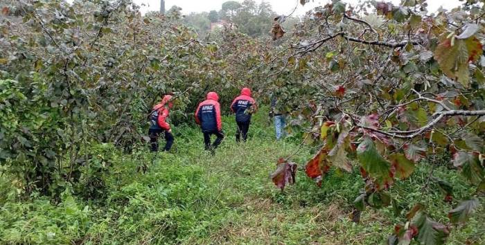 Ordu’da Ağaçtan Düşen Yaşlı Adam Hayatını Kaybetti