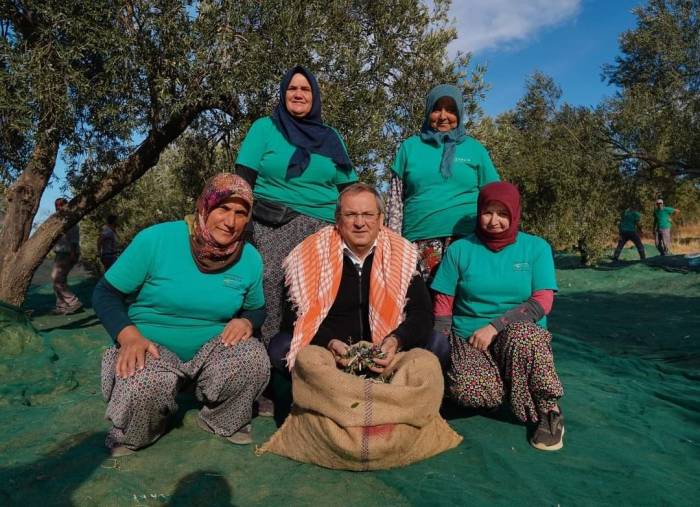 Ayvalık Belediyesi Zeytinliklerinin İlk Hasadı Başkan Ergin’den