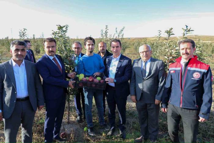 Vali Karakaya, Ahlat’ta Elma Bahçesini Gezdi