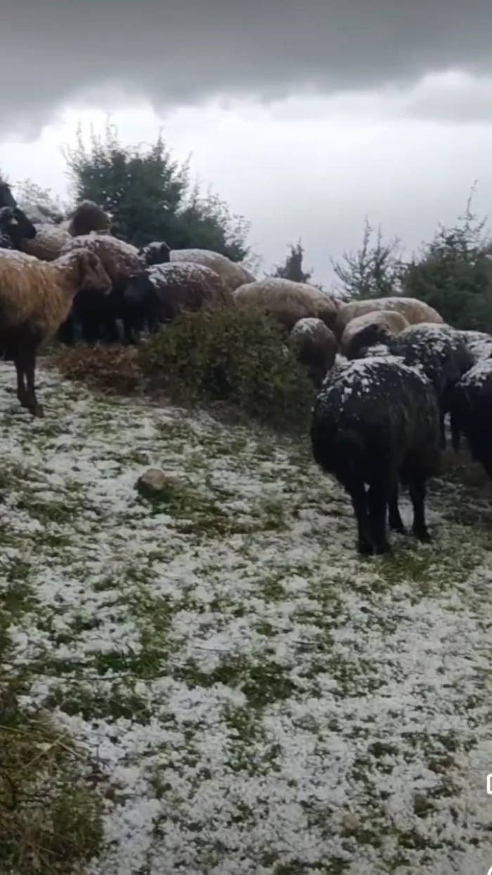 Tokat’ta Dolu Yağışı Yaylayı Beyaza Bürüdü