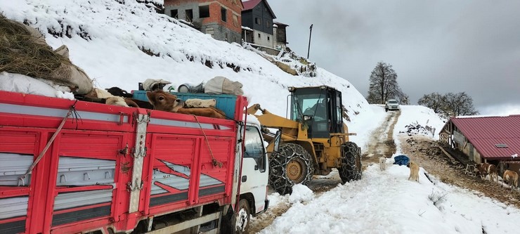 rizede-yaylada-kucukbas-ve-buyukbas-hayvanlari-ile-mahsur-kalan-6-kisi-kurtarildi-2.jpg