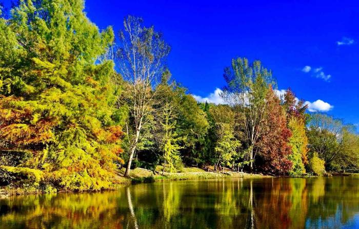 Sonbaharın Büyüleyici Renkleri Erzincan’ı Sardı