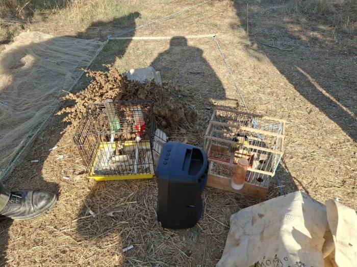 Muğla’da Kaçak Avcılık Yapan Kişiye Para Cezası Kesildi