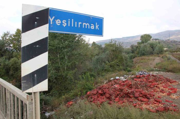 Yeşilırmak Nehri’nin Kıyısına Çuvallar Dolusu Soğan Ve Patlıcan Döküldü