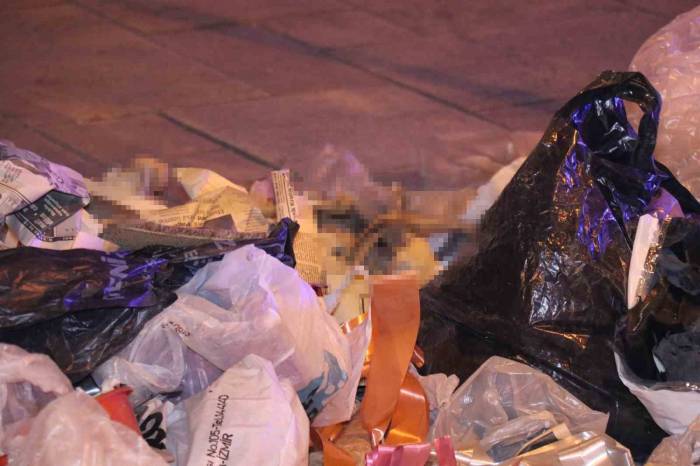 Çöpten Çıkan Kemikler Paniğe Neden Oldu