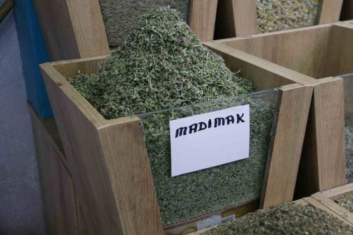 Kurusu Yaşından 5 Kat Daha Pahalı